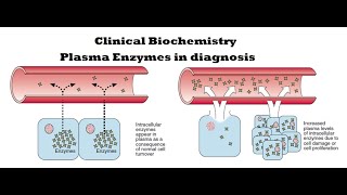 Clinical Biochemistry Plasma enzymes in diagnosis [upl. by Htinek]