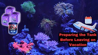 Prepping a Reef Tank before a Vacation [upl. by Iluj956]