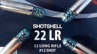 22 LR CCI Shotshell [upl. by Erdnoid]