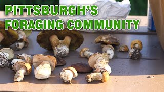 Foraging Pittsburgh  Discovering Community and Flavor in Nature [upl. by Alecia771]