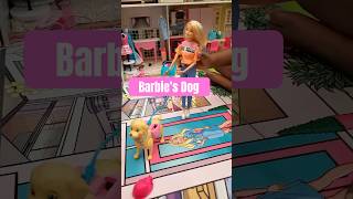 It’s a Barbie Dog World 🐕barbieworld petdog [upl. by Zwart]