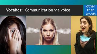 Nonverbal Codes Vocalics [upl. by Immak]