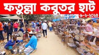 ফতুল্লা কবুতর হাট ৬২২০২৪  kobutor hat 2024  pigeon market in bangladesh  fotulla kobutor hat [upl. by Seamus784]