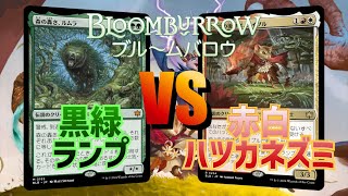 【MTG対戦】新スタンダード対決！黒緑ランプ対赤白ハツカネズミ【東京MTG】 [upl. by Akirehs]