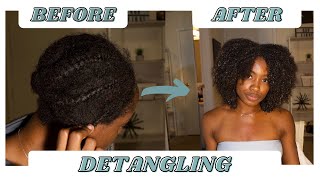 Best Product To Detangle Matted Hair Without Cutting  How To Detangle Knotted Hair After 9 months [upl. by Fasano]