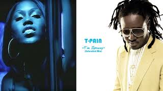 TPain  Im Sprung Extended Mix feat Trick Daddy amp The Youngbloodz [upl. by Weidman97]