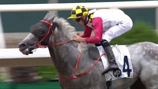 Hong Kong Sha Tin Horse Racing Saturday October 5 2024 Handicap Races 1 3 and 10 [upl. by Ondrej]