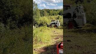 Skid Pro Stump Bucket on Bobcat [upl. by Halliday]