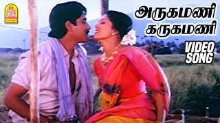 அருகமணி கருகமணி Arugamani Karugamani  Video Song Mappillai Vanthachu  Rahman Gautami  Ilayaraaja [upl. by Notlem]