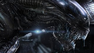 The Xenomorphs are the Good Guys in Aliens  Theory [upl. by Odnesor]