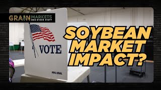 Has the Forthcoming Election Really Impacted the Soybean Market [upl. by Atikihs]