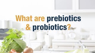 What Are Prebiotics and Probiotics  Herbalife Nutrition [upl. by Giannini]