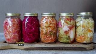 How fermented foods and Molkosan benefit your gut [upl. by Kaliski73]