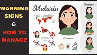 Warning Signs of Malaria  Malaria Symptoms  Malaria Treatment [upl. by Hanaj]