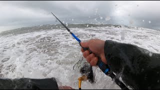 Penn Spinfisher VI Long Cast Surf Fishing Review [upl. by Lona922]