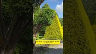 The Worlds Oldest Topiary Garden At Levens Hall 🌲 [upl. by Sammy]