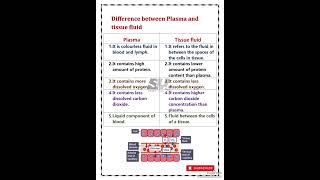 Difference between plama and tissue fluid [upl. by Olmstead]