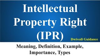 Intellectual Property Rights IPR Meaning Definition Examples Benefits of IPR UPSC NCERT Bba [upl. by Adaminah]