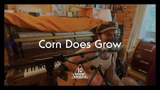 Theo Katzman  Corn Does Grow Official Video [upl. by Leiahtan]