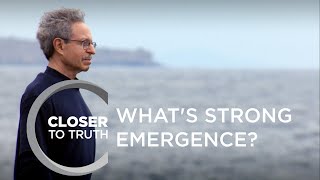 Whats Strong Emergence  Episode 1905  Closer To Truth [upl. by Ahsitahs]