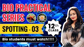 How to do SPOTTING  part 03 Biology Practical Class 12 top coaching [upl. by Maurilla]