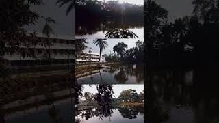 quotNature’s reflection in a peaceful pondquotbeautiful asthetic travel viralvideo youtubeshorts yt [upl. by Akinej]