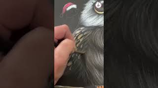 Learn easy steps to paint this Holiday Owl anyonecanpaint paintingtechniques acryliconcanvas [upl. by Acilejna166]