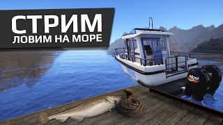 \\\\\ Стрим Русская Рыбалка 4 идём за мечом [upl. by Vedette355]