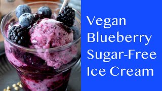 Ice Cream Vegan No Sugar PlantBased Low Fat Raw Vegan Desserts Blueberry Ice Cream [upl. by Ayot]