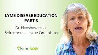 Dr Hanshew Talks Spirochetes  Lyme Organisms • LymeNow [upl. by Ymot633]