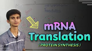 Translation Protein synthesis explained in bangla  Biochemistry [upl. by Ahsyla]