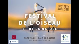 Annonce Festival de lOiseau et de la Nature 2018 [upl. by Acilegna454]