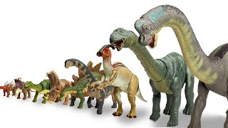 ENTIRE Herbivore Collection Big to Small  Brachiosaurus Apatosaurus Stegosaurus and More [upl. by Nnaesor552]