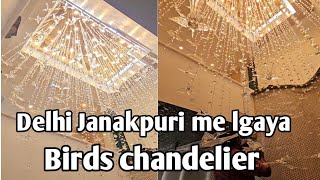 New design bird chandelier lights  jhumar  Svlights9868 [upl. by Hilario522]