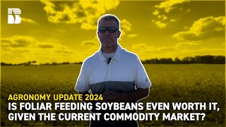 Is foliar feeding soybeans worth it given the current market [upl. by Irmo527]