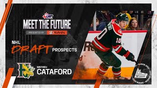 Meet The Future  Mathieu Cataford [upl. by Netaf693]