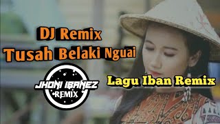 Tusah Belaki NguaiLagu Dayak Iban DJ Remix Terbaru 2020 [upl. by Ezara]