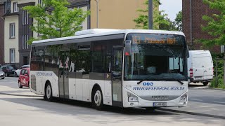 Sound Bus Iveco Crossway LE  EAM 883  Omnibusbetriebe Mesenhohl GmbH amp Co KG Essen [upl. by Annai]