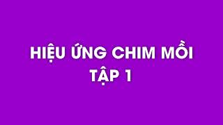 Sách nói  Tác phẩm Hiệu Ứng Chim Mồi Tập 1 [upl. by Analle]