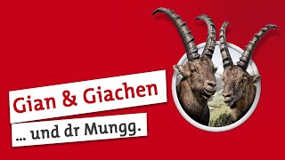 Gian und Giachen Blödi Mungga [upl. by Ricketts]