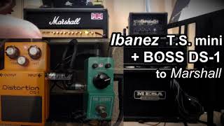 Marshall vs EVH vs Tube Screamer mini  BOSS DS1 [upl. by Iblehs958]