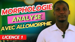 Analyse en Morphème  Avec Allomorphie [upl. by Becky]