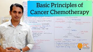 Anticancer Drugs Pharmacology Part 1 Basic Principles and Site of Action for Cancer Chemotherapy [upl. by Hairabez]