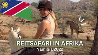 Reitsafari in Afrika 2022🇳🇦 Griffen Zebras Wale und co [upl. by Gargan]