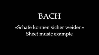 J S Bach Schafe können sicher weiden  Sheet music example [upl. by Noiraa]