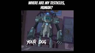 when your neutered doggo receives a Neuralink [upl. by Sewole]