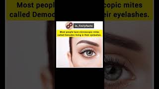 Facts about eyes  Infinityfacts [upl. by Elatnahc705]