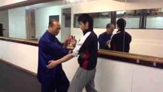 Rotterdam wing chun kungfu Siu lim Tao 3sifuchanchiu [upl. by Johen727]