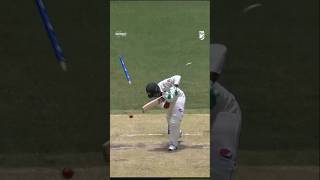 Wow 🔥 Mitchell Starc knocks over Sarfaraz with a beauty PlayOfTheDay NRMAInsuranceSocial [upl. by Longtin]