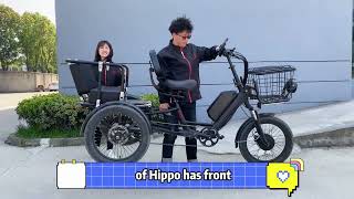 Electric tricycle that can carry people pick up childrenelectrictricycle etrike  pickup children [upl. by Akerue]